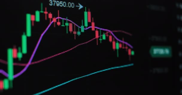 Gráficos en línea presente tipo de cambio criptomoneda — Vídeos de Stock