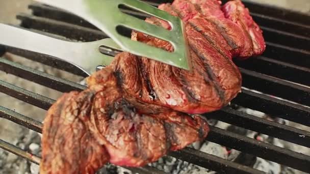 Cook prepares beef steaks on grill — Stock Video