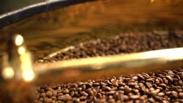 Rostade kaffebönor — Stockvideo