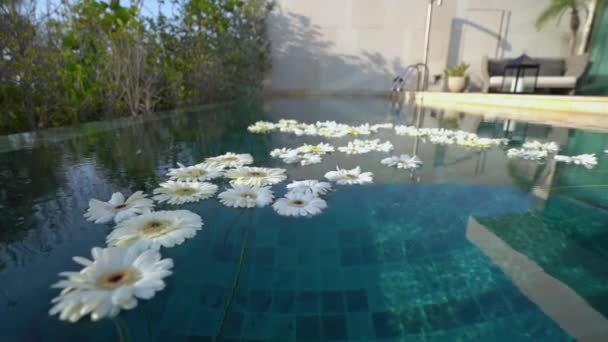 Odkryty basen z kwiatami — Wideo stockowe