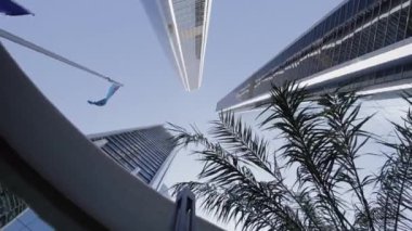 Palmiye ağaçları ve gökdelenler