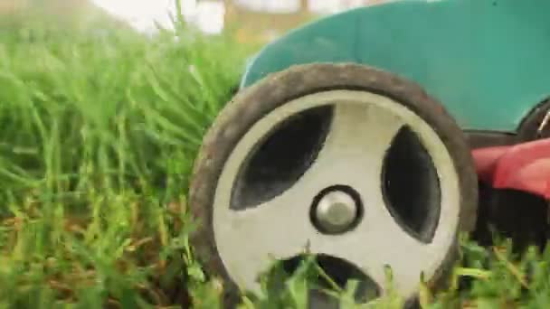 Lawn mower cuts grass — Stock Video