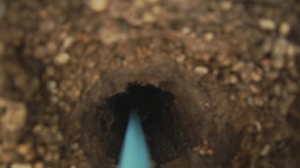 Giardiniere professionista scava buca — Video Stock