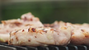 Izgarada çiğ et dilimleri