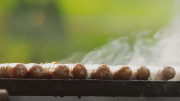 Raw grilled sausages create steam — Stock Video