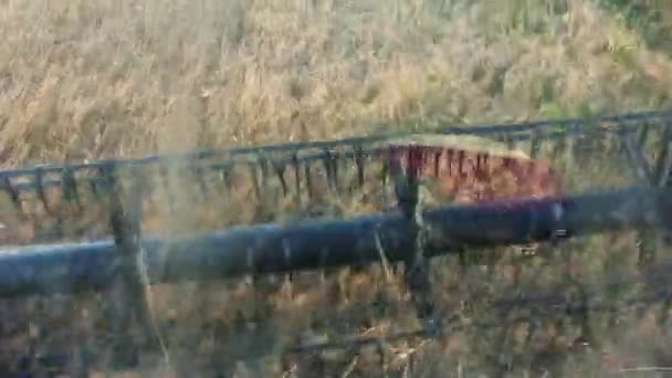 필드 mows 수확을 결합 — 비디오