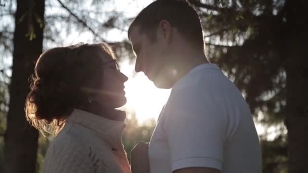 Pareja besándose en el parque al atardecer . — Vídeos de Stock