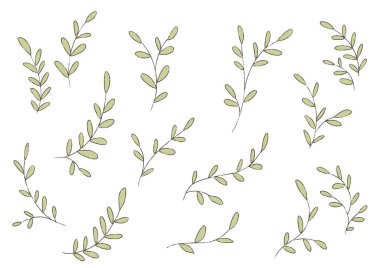 Poster, poster, kartpostal, pankart ve daha fazlası için dal ve yaprak dikin.