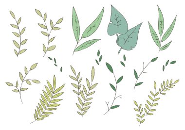 Poster, poster, kartpostal, pankart ve daha fazlası için dal ve yaprak dikin.