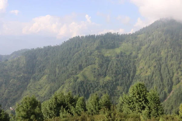 Tepeye giden dağ yolu Yaz manzarasında