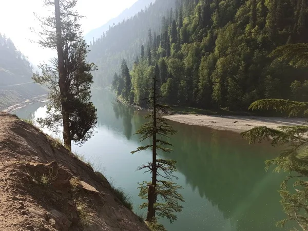 Fantasy Jungle Lake Prachtig Landschap — Stockfoto