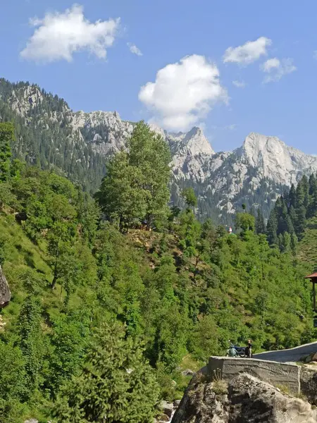 Arbres Verts Luxuriants Arrière Plan Haute Montagne — Photo