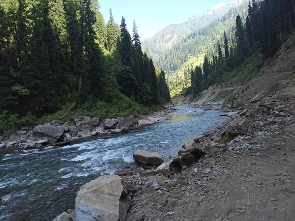 Beautiful Lake Crossing Deep Forest — Stock Photo, Image