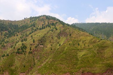 İnanılmaz yeşil yemyeşil ağaçlar ve büyük dağ