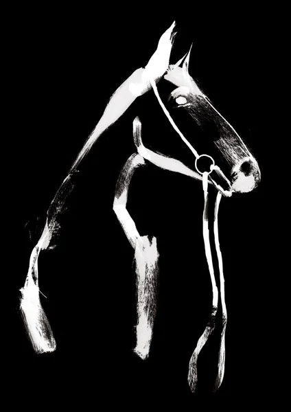 Illustration eines Pferdes im Geschirr — Stockfoto
