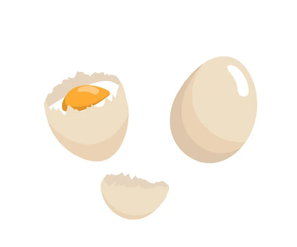 Broken Eggs Vector Baking Cooking Ingredients Eggshell Proteins Healthy Organic — Stock Vector