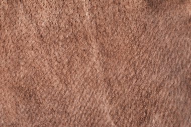 kahverengi chamois doku