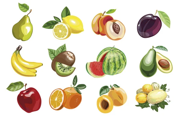 Délicieuse collection de fruits. Isolé sur fond blanc. — Image vectorielle