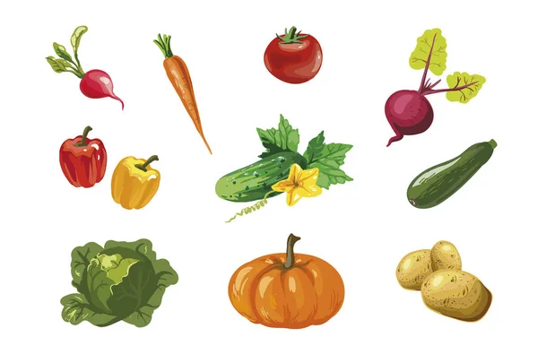 Légumes collection vectorielle dessinée à la main — Image vectorielle