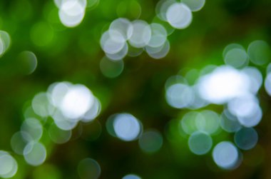 Duvar kağıdı dekoratif tasarımı için yeşil bokeh doğa soyut arkaplan.