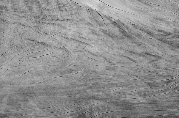 Gray wood texture. Abstract wood use as natural background surface with old natural pattern for wallpaper decorative design.