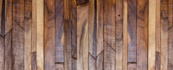 장식을 자연적 무늬가 파노라마 나무의 — 스톡 사진
