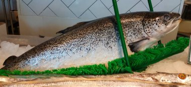 fish as a source of protein needed to face the covid pandemic and is also a delicious food to be grilled or fried