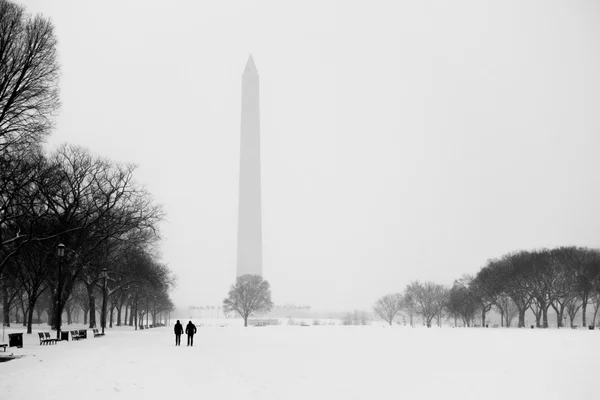 Памятник Вашингтону в зимний шторм — стоковое фото