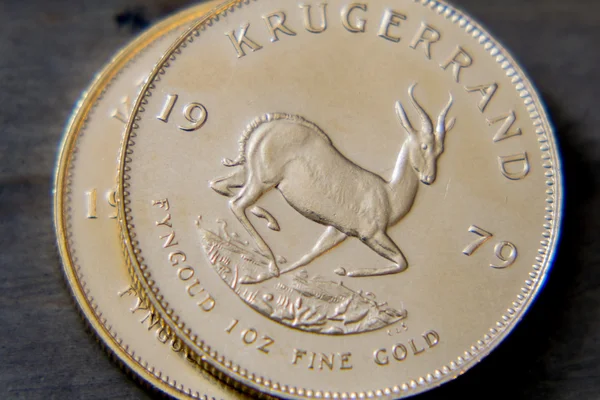 1 盎司黄金 Kurgerrand 金币 免版税图库照片