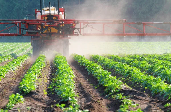 Pestizidsprüher Auf Einem Feld Mit Gemüse — Stockfoto