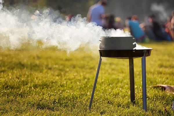 Silný Kouř Grilu Parku — Stock fotografie