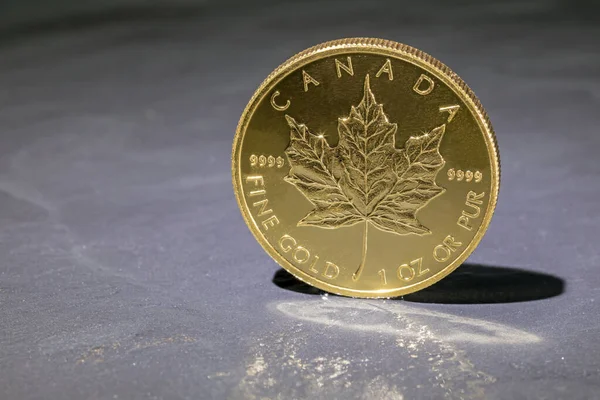 Maple Leaf Gold Coin Stands Gray Background — 스톡 사진