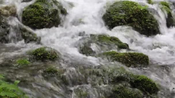 Moosige Steine Gletscherquellen Ramsau — Stockvideo