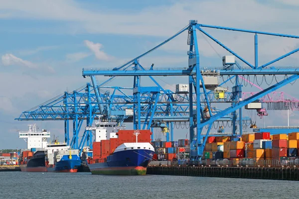 container terminal in the port of rotterdam