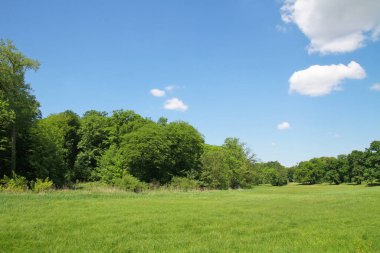 Hamburg 'daki peyzaj parkı