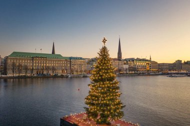 Hamburg 'daki Alster Gölü' ndeki Noel ağacı.