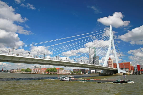 Міст Еразм Роттердамі — стокове фото