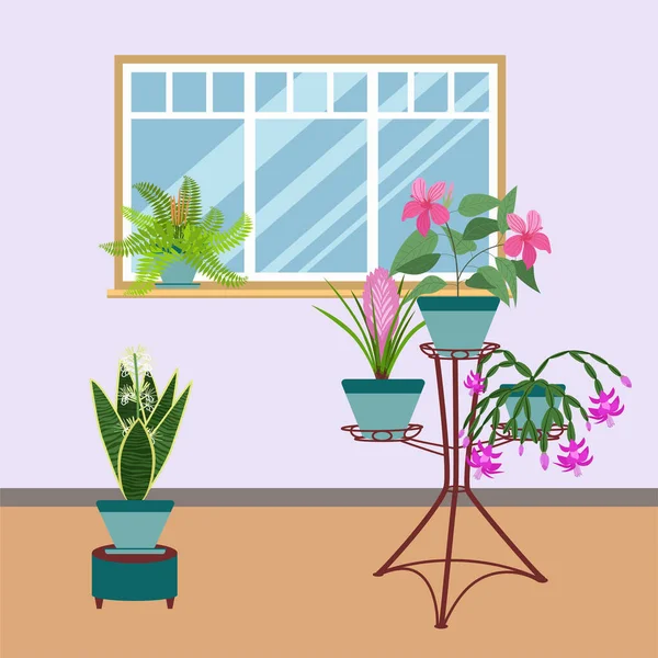 Interior com plantas de interior em um estande para o projeto de uma casa, quarto ou escritório. Sansevieria, clorofito, samambaia. —  Vetores de Stock