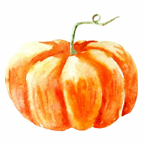Water color hand painted vegetable. pumpkin on white background — Stock Photo, Image