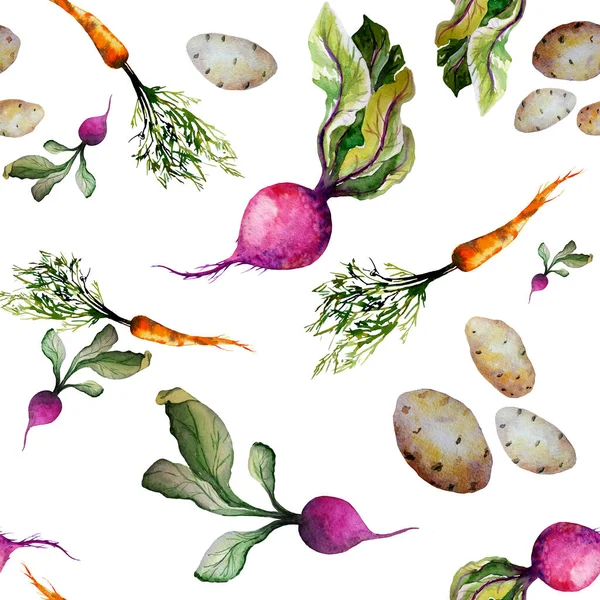 Cor da água vegetal pintado à mão. raízes de legumes no fundo branco — Fotografia de Stock