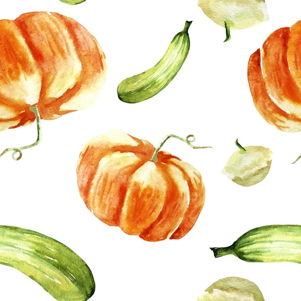 Acquerello dipinto a mano vegetale. zucca su sfondo bianco — Foto Stock