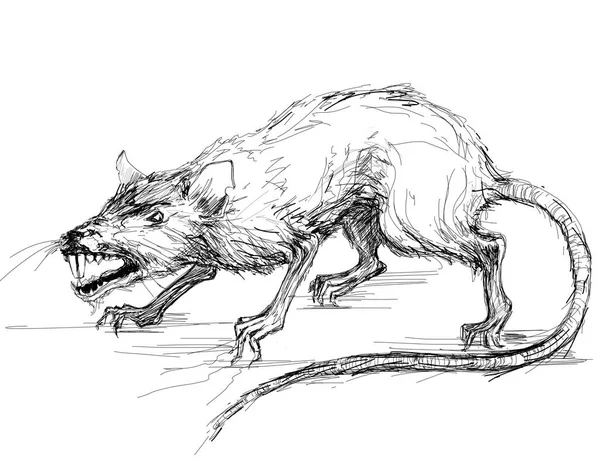 Main dessinant rat maléfique avec crocs. noir grafic sur wite dackground — Photo