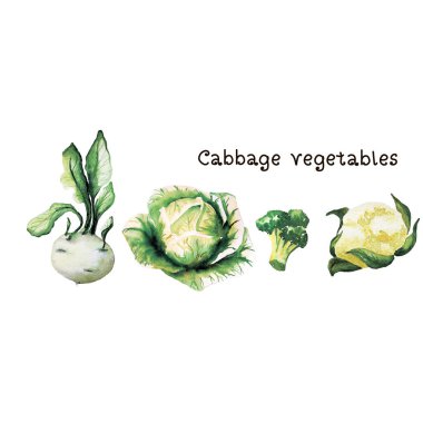 Su rengi el boyası sebze. beyaz arkaplanda yeşil sebze