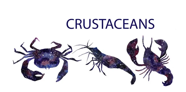 Water color hand painted space crustaceans with stars — Stock Photo, Image