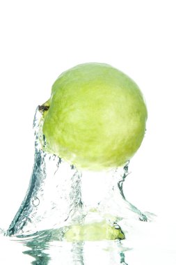taze guava