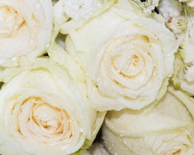 taze gül, seçici odak buket yakın çekim