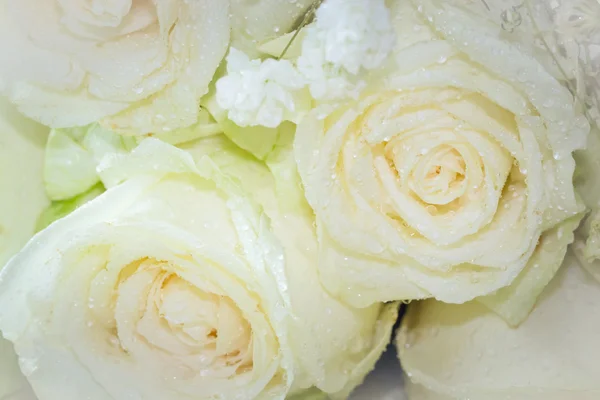 Perto de buquê de rosas frescas, foco seletivo — Fotografia de Stock