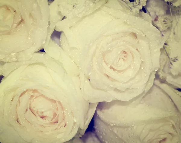 Μπουκέτο με ολόφρεσκα τριαντάφυλλα, επιλεκτική εστίαση σε κοντινό πλάνο — Φωτογραφία Αρχείου