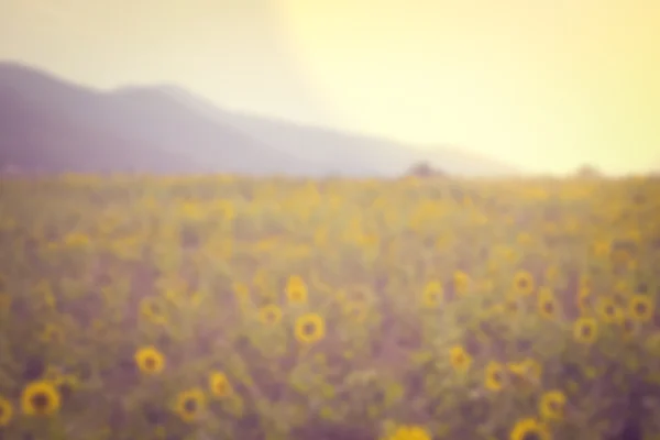 Absztrakt blur és a blur hatást, a gyönyörű hegyi nyár, v — Stock Fotó