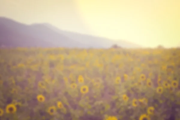 Abstrakte Unschärfe und Unschärfewirkung des schönen Berges im Sommer, v — Stockfoto